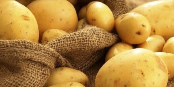 تصویر 5 از خرید و قیمت سیب زمینی فیروزکوه + فروش صادراتی